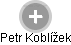 Petr Koblížek - Vizualizace  propojení osoby a firem v obchodním rejstříku