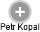 Petr Kopal - Vizualizace  propojení osoby a firem v obchodním rejstříku
