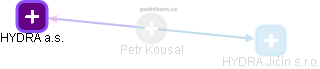 Petr Kousal - Vizualizace  propojení osoby a firem v obchodním rejstříku