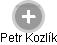 Petr Kozlík - Vizualizace  propojení osoby a firem v obchodním rejstříku