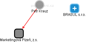 Petr Krauz - Vizualizace  propojení osoby a firem v obchodním rejstříku