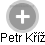 PETR KŔÍŽ - Vizualizace  propojení osoby a firem v obchodním rejstříku