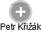 Petr Křižák - Vizualizace  propojení osoby a firem v obchodním rejstříku