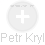 Petr Kryl - Vizualizace  propojení osoby a firem v obchodním rejstříku