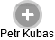 Petr Kubas - Vizualizace  propojení osoby a firem v obchodním rejstříku
