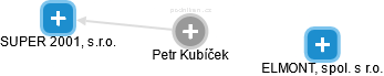 Petr Kubíček - Vizualizace  propojení osoby a firem v obchodním rejstříku