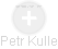 Petr Kulle - Vizualizace  propojení osoby a firem v obchodním rejstříku