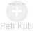 Petr Kutil - Vizualizace  propojení osoby a firem v obchodním rejstříku
