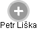 Petr Liška - Vizualizace  propojení osoby a firem v obchodním rejstříku