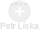 Petr Líska - Vizualizace  propojení osoby a firem v obchodním rejstříku
