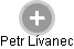 Petr Lívanec - Vizualizace  propojení osoby a firem v obchodním rejstříku