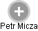 Petr Micza - Vizualizace  propojení osoby a firem v obchodním rejstříku