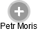 Petr Moris - Vizualizace  propojení osoby a firem v obchodním rejstříku