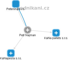 Petr Najman - Vizualizace  propojení osoby a firem v obchodním rejstříku