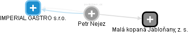 Petr Nejez - Vizualizace  propojení osoby a firem v obchodním rejstříku