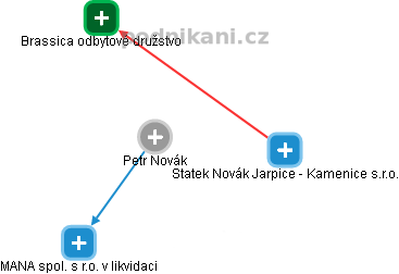 Petr Novák - Vizualizace  propojení osoby a firem v obchodním rejstříku
