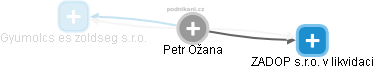  Petr Ožana - Vizualizace  propojení osoby a firem v obchodním rejstříku