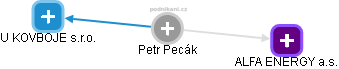 Petr Pecák - Vizualizace  propojení osoby a firem v obchodním rejstříku