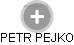 PETR PEJKO - Vizualizace  propojení osoby a firem v obchodním rejstříku