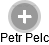 Petr Pelc - Vizualizace  propojení osoby a firem v obchodním rejstříku