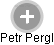 Petr Pergl - Vizualizace  propojení osoby a firem v obchodním rejstříku