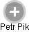 Petr Pik - Vizualizace  propojení osoby a firem v obchodním rejstříku