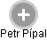 Petr Pípal - Vizualizace  propojení osoby a firem v obchodním rejstříku