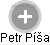 Petr Píša - Vizualizace  propojení osoby a firem v obchodním rejstříku