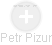 Petr Pizur - Vizualizace  propojení osoby a firem v obchodním rejstříku