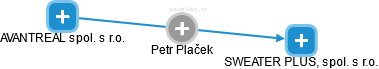 Petr Plaček - Vizualizace  propojení osoby a firem v obchodním rejstříku