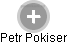 Petr Pokiser - Vizualizace  propojení osoby a firem v obchodním rejstříku