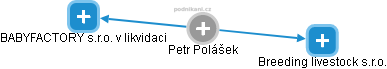 Petr Polášek - Vizualizace  propojení osoby a firem v obchodním rejstříku