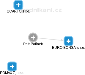 Petr Polínek - Vizualizace  propojení osoby a firem v obchodním rejstříku