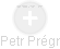 Petr Prégr - Vizualizace  propojení osoby a firem v obchodním rejstříku