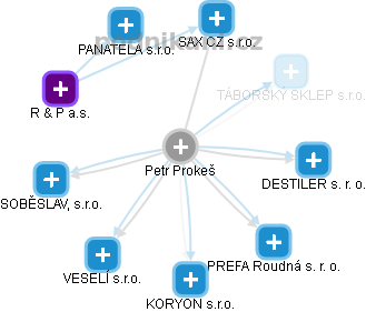 Petr Prokeš - Vizualizace  propojení osoby a firem v obchodním rejstříku