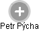 Petr Pýcha - Vizualizace  propojení osoby a firem v obchodním rejstříku