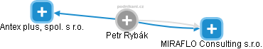 Petr Rybák - Vizualizace  propojení osoby a firem v obchodním rejstříku