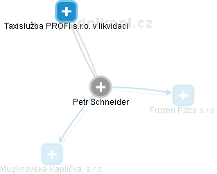 Petr Schneider - Vizualizace  propojení osoby a firem v obchodním rejstříku