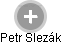 Petr Slezák - Vizualizace  propojení osoby a firem v obchodním rejstříku