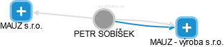 PETR SOBÍŠEK - Vizualizace  propojení osoby a firem v obchodním rejstříku