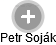  Petr S. - Vizualizace  propojení osoby a firem v obchodním rejstříku