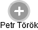 Petr Török - Vizualizace  propojení osoby a firem v obchodním rejstříku