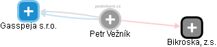  Petr Vežník - Vizualizace  propojení osoby a firem v obchodním rejstříku