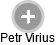Petr Virius - Vizualizace  propojení osoby a firem v obchodním rejstříku