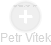 Petr Vítek - Vizualizace  propojení osoby a firem v obchodním rejstříku