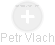Petr Vlach - Vizualizace  propojení osoby a firem v obchodním rejstříku