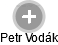 Petr Vodák - Vizualizace  propojení osoby a firem v obchodním rejstříku