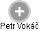 Petr Vokáč - Vizualizace  propojení osoby a firem v obchodním rejstříku