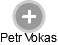 Petr Vokas - Vizualizace  propojení osoby a firem v obchodním rejstříku