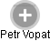 Petr Vopat - Vizualizace  propojení osoby a firem v obchodním rejstříku
